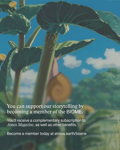 Thumbnail of diriri1a-r-8bd71a41c2ed44a3 11