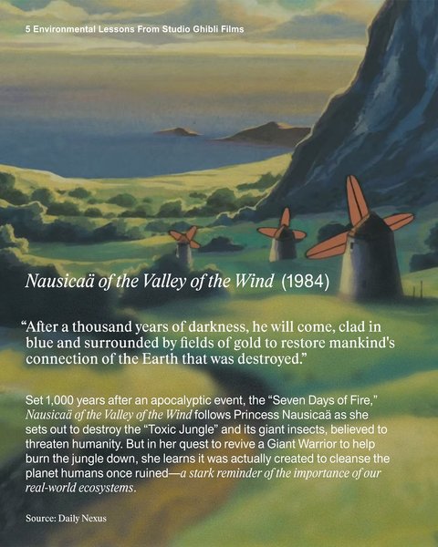 Thumbnail of diriri1a-r-8bd71a41c2ed44a3 3