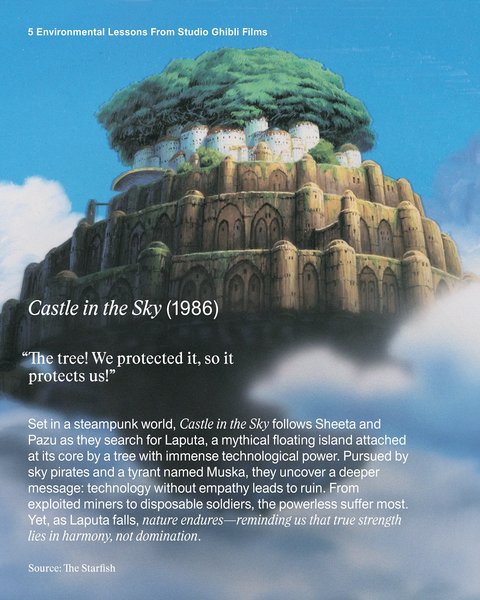 Thumbnail of diriri1a-r-8bd71a41c2ed44a3 5