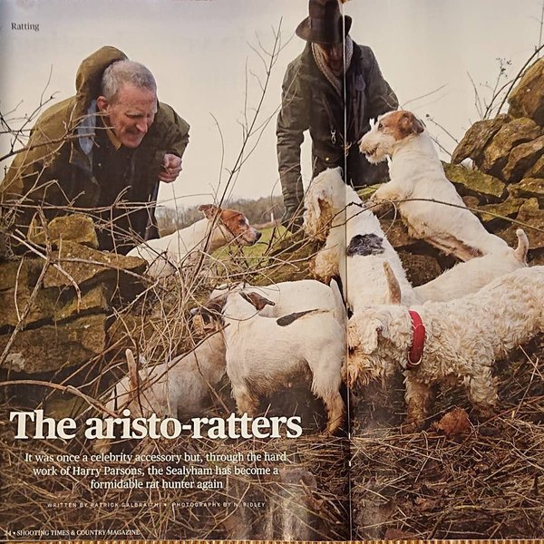 Thumbnail of b9b-scwb1ov-8bdf0830a04e4216 0