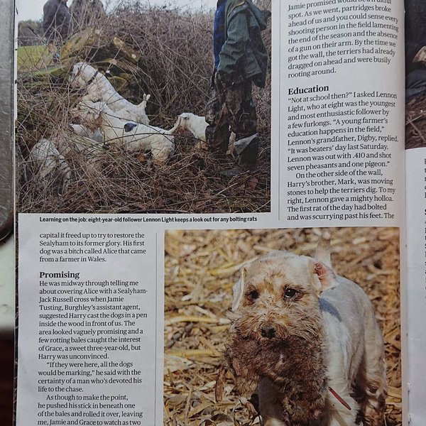 Thumbnail of b9b-scwb1ov-8bdf0830a04e4216 1