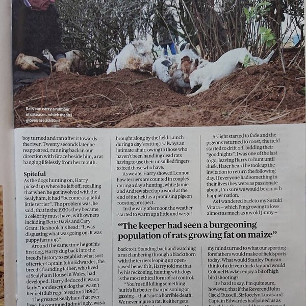 Thumbnail of b9b-scwb1ov-8bdf0830a04e4216 2