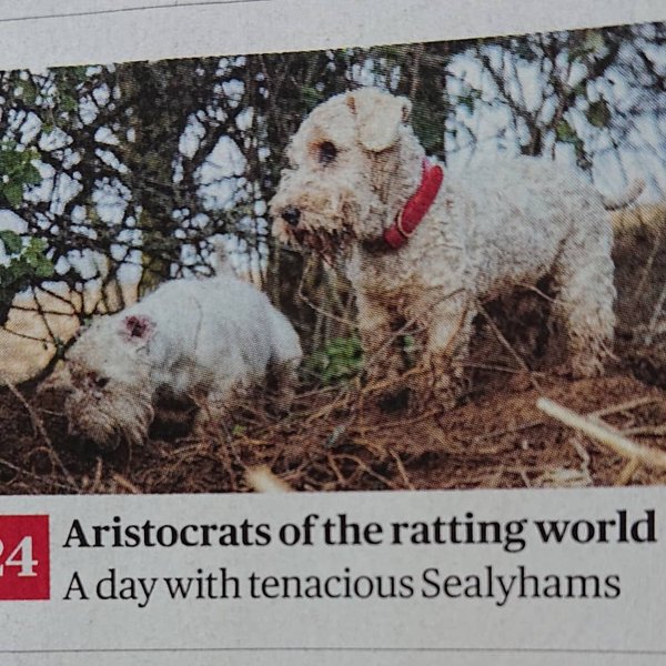 Thumbnail of b9b-scwb1ov-8bdf0830a04e4216 4