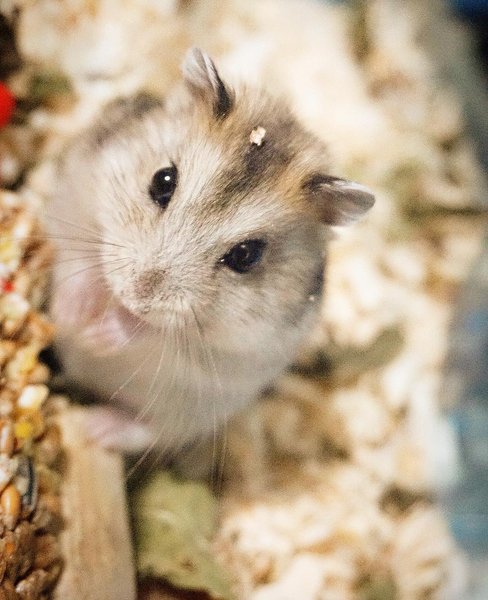 Thumbnail of p-bea7s8camcb-8bdf76f2b4074841 0