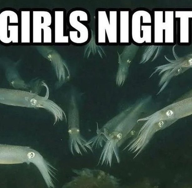 Thumbnail of p-cwyfizplccv-8c51031b063b4faa 1