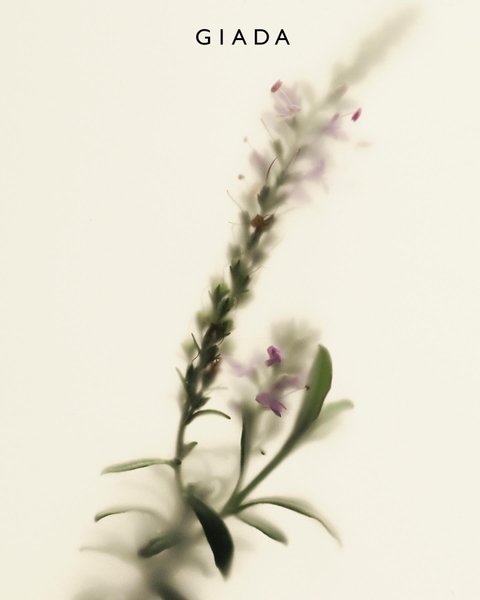 Thumbnail of c-5ybis9ep-8c8c938b6b8547ad 0