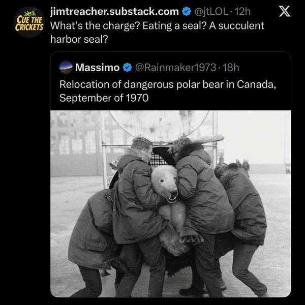 Thumbnail of www-instagram-com-p-drqss-8dnt8-img-index-4 6