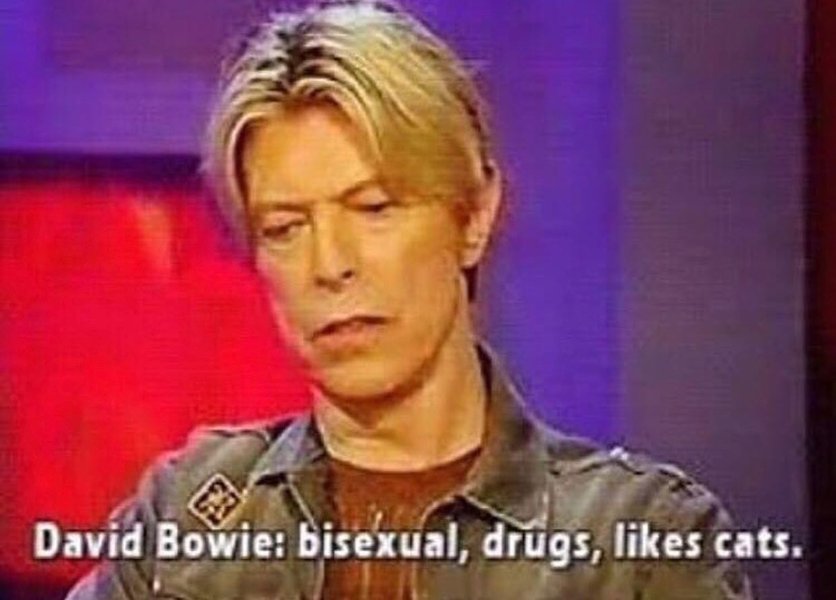 Thumbnail of p-b1oc3qpoqnf-8c8dd5bcc7364b5c 0