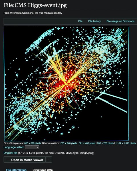 Thumbnail of p-c1vo95ljau4-8cc8a834896a4976 7