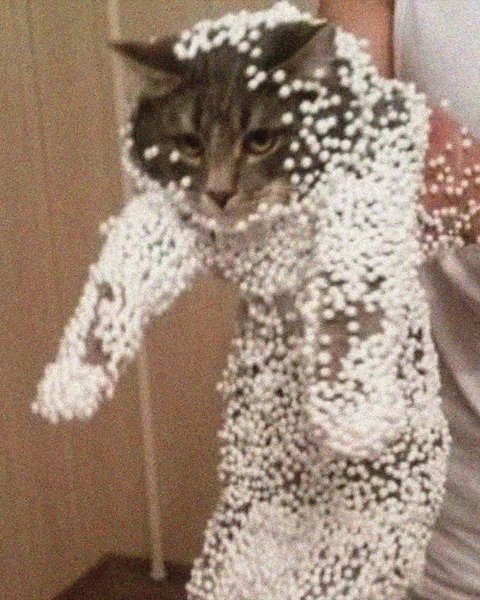 Thumbnail of p-c1vo95ljau4-8cc8a834896a4976 8