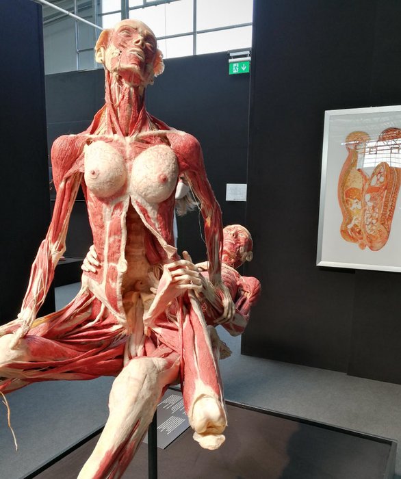 Thumbnail of www-x-com-ghoulrequiem-status-1973974399809417323-8ce320b83f7b4695