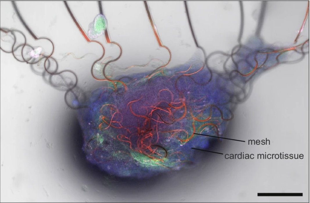 Thumbnail of www-x-com-skdh-status-1976645729511669764-8d34df5cabd54ed0