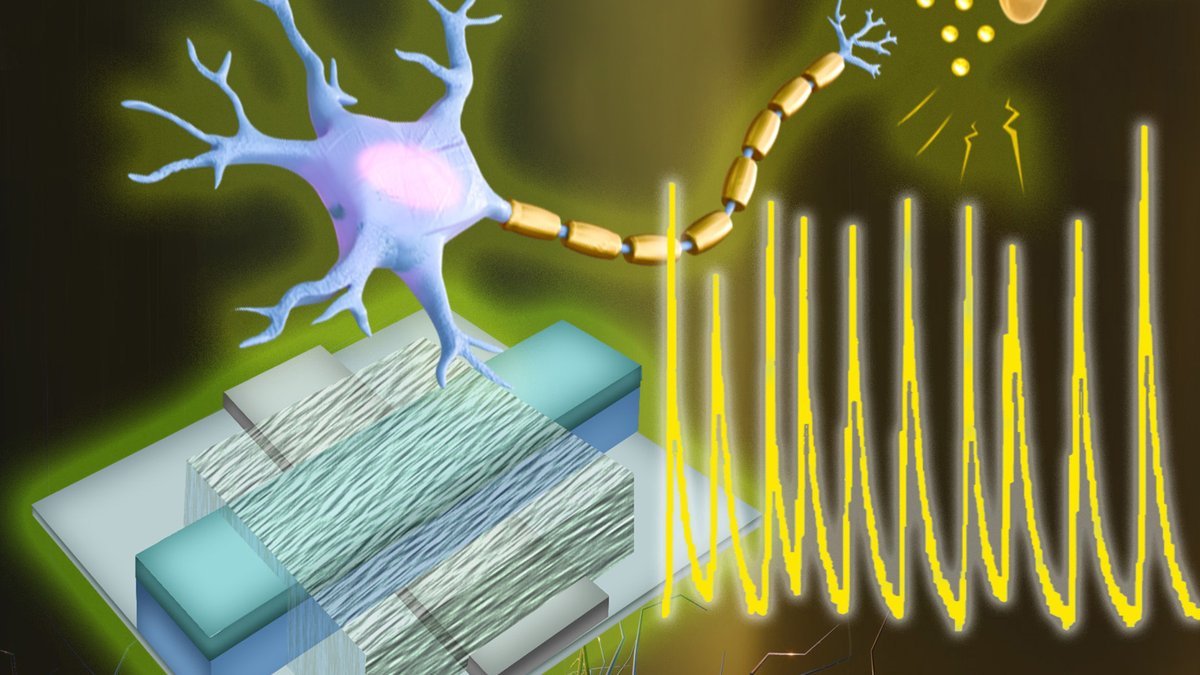 Thumbnail of www-x-com-skdh-status-1976645729511669764-8d34df5cabd54ed0