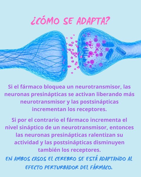 Thumbnail of p-cvvgwehnwza-8d43c502cf084177 2