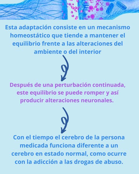 Thumbnail of p-cvvgwehnwza-8d43c502cf084177 3