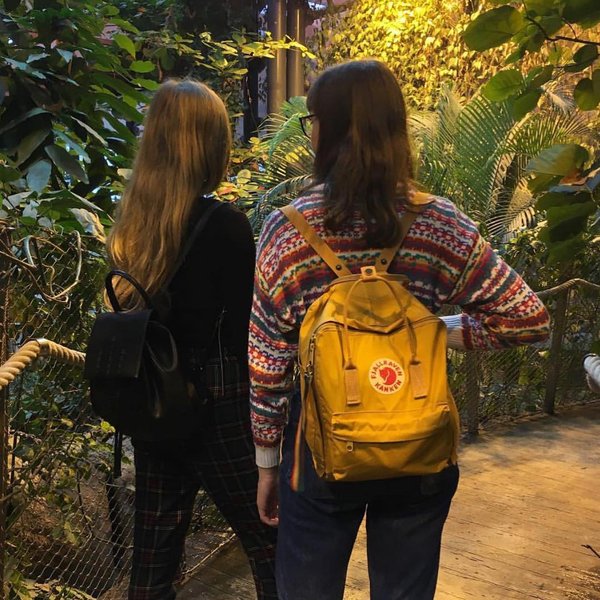 Thumbnail of p-bursz0qhtln-8d4633367d424181 3