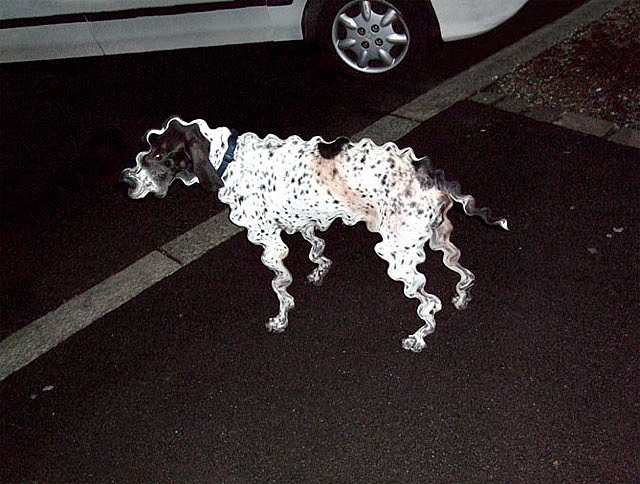 Thumbnail of p-ctwuxlqlebg-8d736c1600a14119 0