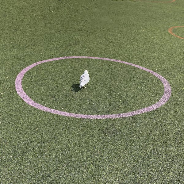 Thumbnail of p-cfiyjyvnh5-8d7dbd6b0758485f 0