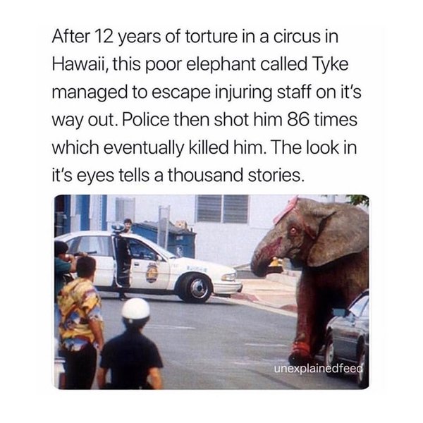 Thumbnail of p-bsgtpssfoo2-8da3d8ca0e034712 0