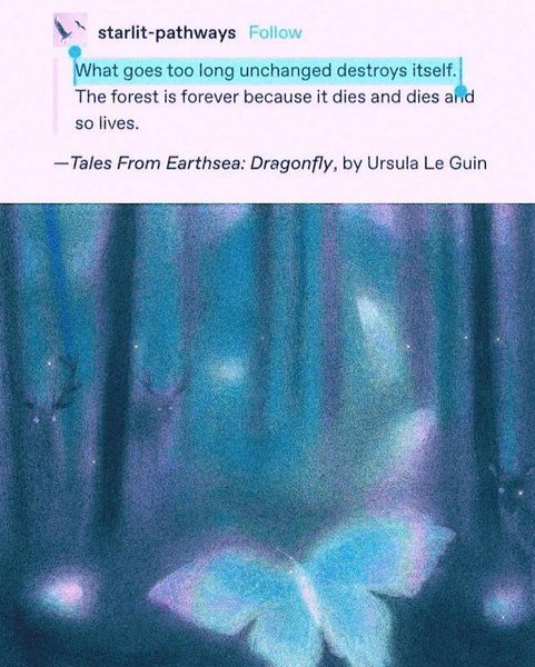 Thumbnail of p-cx5unbaumuo-8da4fe10b8704482 2