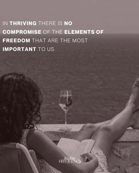 Thumbnail of p-cx5unbaumuo-8da4fe10b8704482 8