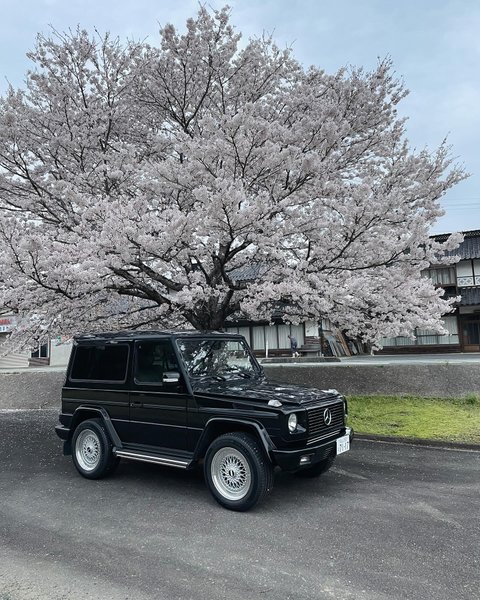 Thumbnail of p-c5ajuonjlkg-8da6bf93a450478d 0