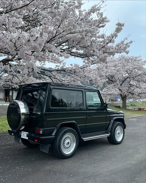 Thumbnail of p-c5ajuonjlkg-8da6bf93a450478d 1