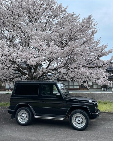 Thumbnail of p-c5ajuonjlkg-8da6bf93a450478d 2