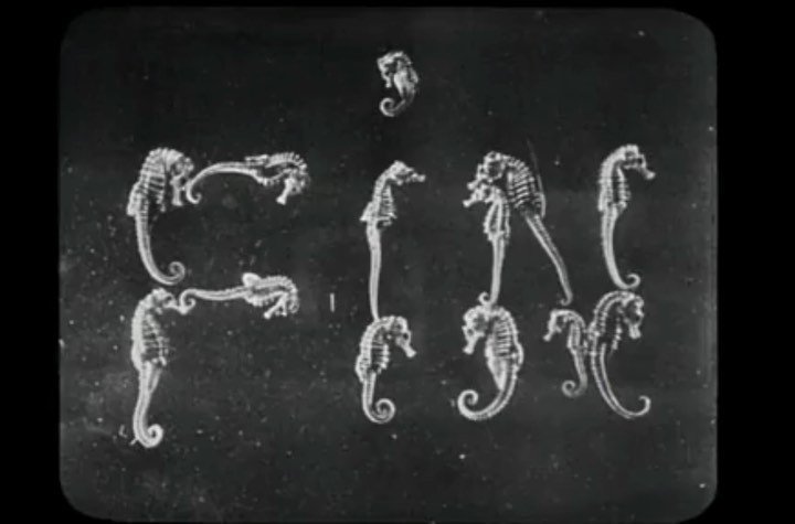 Thumbnail of cwym191rv-e-8da6cb3c691a4f76 0