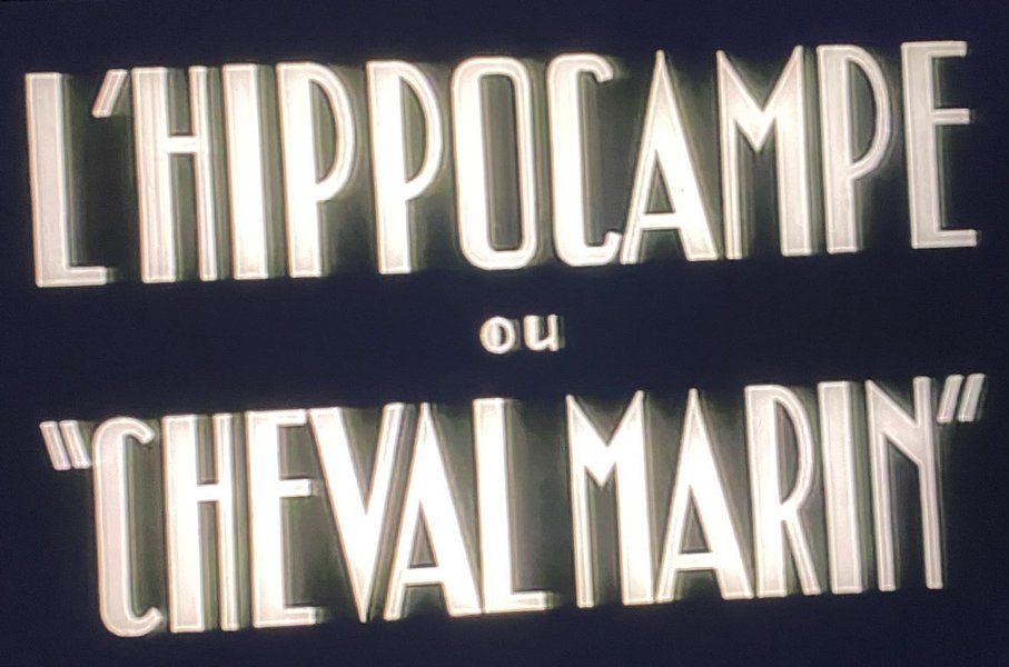 Thumbnail of cwym191rv-e-8da6cb3c691a4f76 1