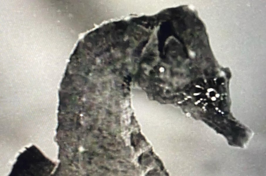 Thumbnail of cwym191rv-e-8da6cb3c691a4f76 2