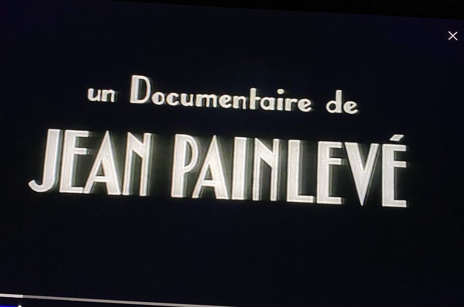 Thumbnail of cwym191rv-e-8da6cb3c691a4f76 3