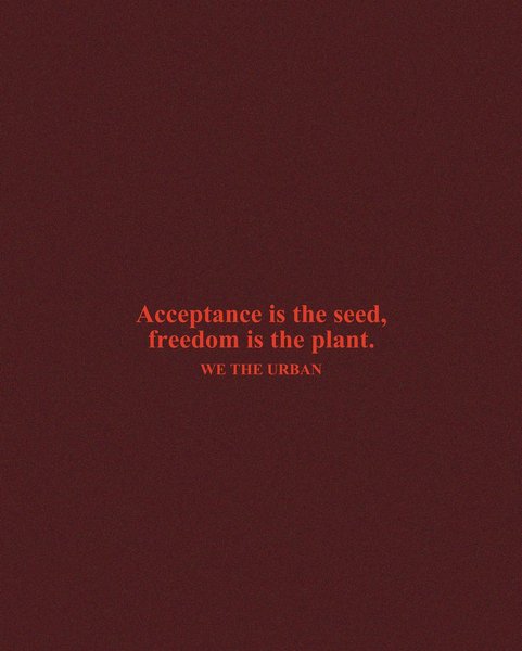 Thumbnail of p-cmhytdjpi13-8dba33cd633344cd 4