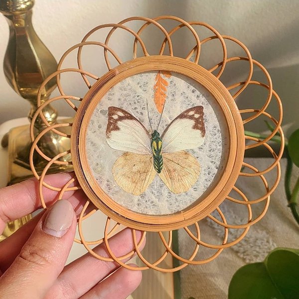 Thumbnail of p-csexpkhatta-8df225d903724755 3