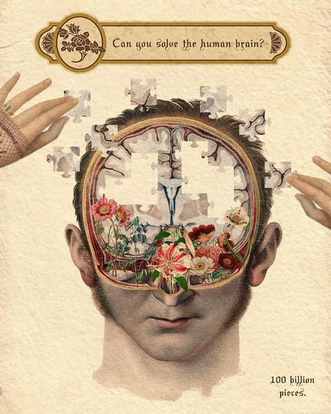 Thumbnail of p-bsqz55mffhg-8df681f0266e4b1d 0