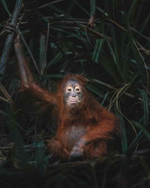 Thumbnail of b3h7km-ju0q-8e0451dded3f46e7 0