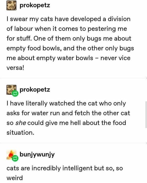 Thumbnail of p-cak38rugxhs-8e186f49ee4a4580 0