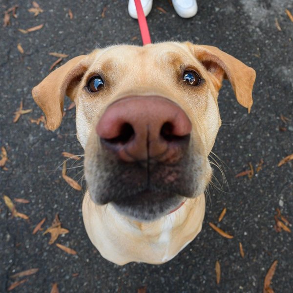 Thumbnail of p-b6bdvvbhlbt-8e202b27cd164130 0