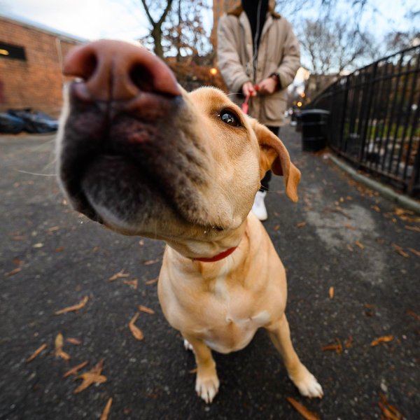 Thumbnail of p-b6bdvvbhlbt-8e202b27cd164130 1