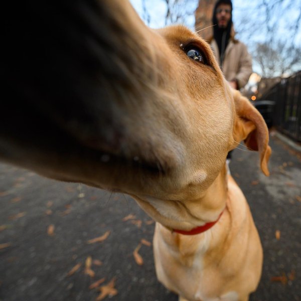 Thumbnail of p-b6bdvvbhlbt-8e202b27cd164130 2