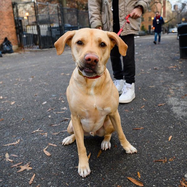 Thumbnail of p-b6bdvvbhlbt-8e202b27cd164130 3