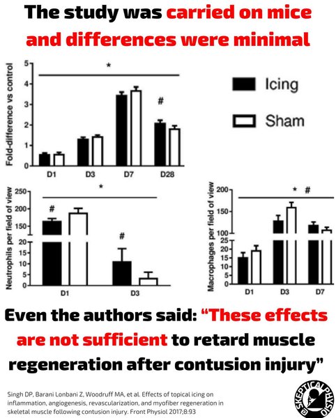 Thumbnail of p-c293ze0mz7f-8e405cbeb95b4f25 5