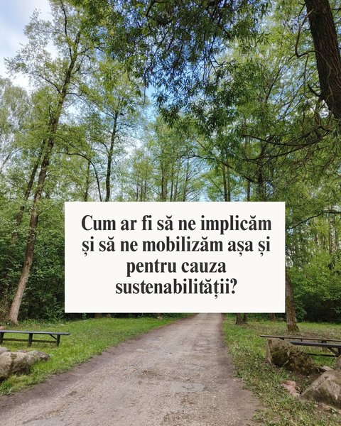 Thumbnail of p-dj88q3qi8xd-8e4241b686544246 3