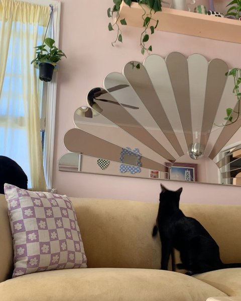 Thumbnail of p-cmfra7fa4wd-8e44a446e3914461 2