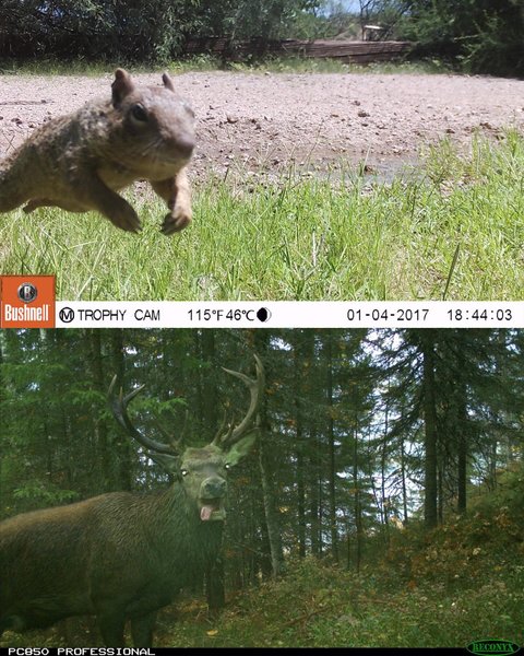 Thumbnail of p-dcslwgnp7wj-8e45288c67b5441e 5