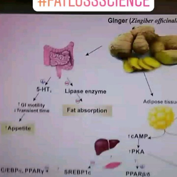 Thumbnail of p-bti8k3pag8b-8e64767a1d93411d 1