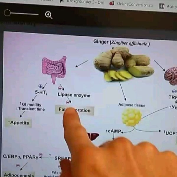 Thumbnail of p-bti8k3pag8b-8e64767a1d93411d 2