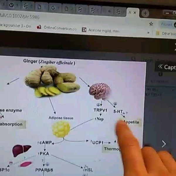 Thumbnail of p-bti8k3pag8b-8e64767a1d93411d 3