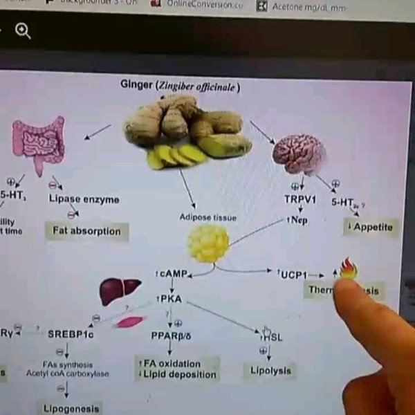 Thumbnail of p-bti8k3pag8b-8e64767a1d93411d 4