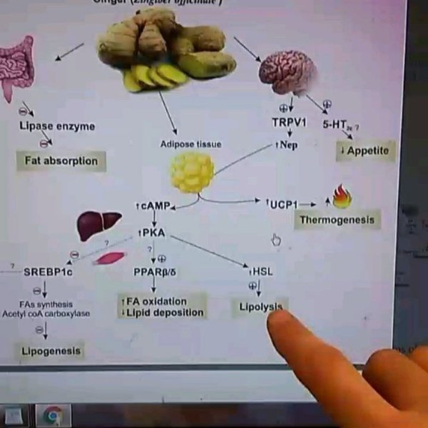 Thumbnail of p-bti8k3pag8b-8e64767a1d93411d 5